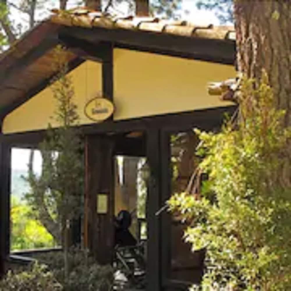 Monteverde Mazamitla Εξωτερικό φωτογραφία