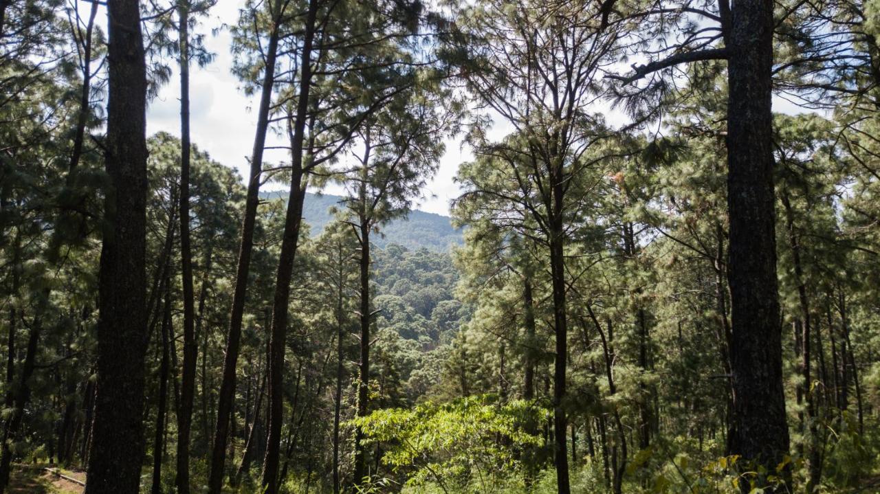 Monteverde Mazamitla Εξωτερικό φωτογραφία