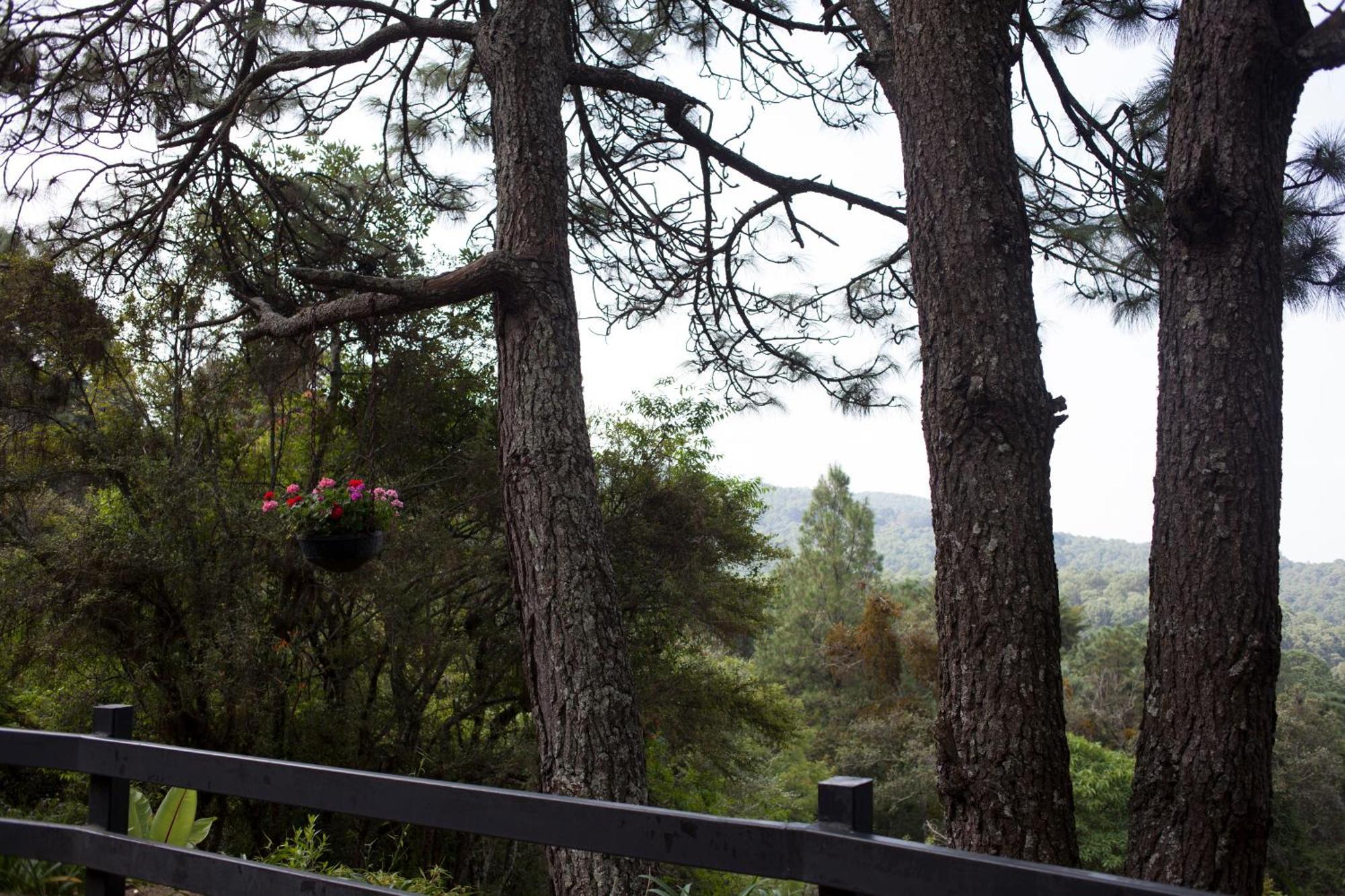 Monteverde Mazamitla Εξωτερικό φωτογραφία