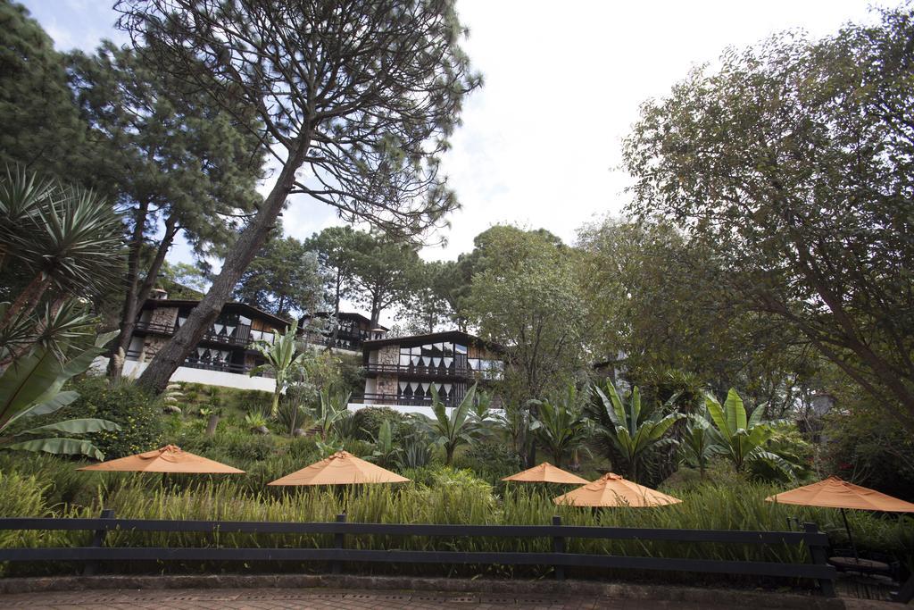 Monteverde Mazamitla Εξωτερικό φωτογραφία